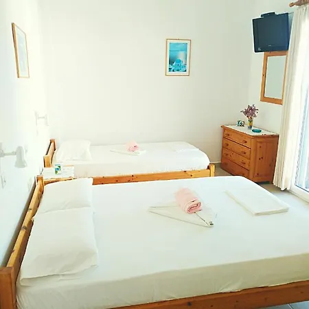 Dolphin * Antiparos Town