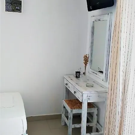 Dolphin Antiparos Town