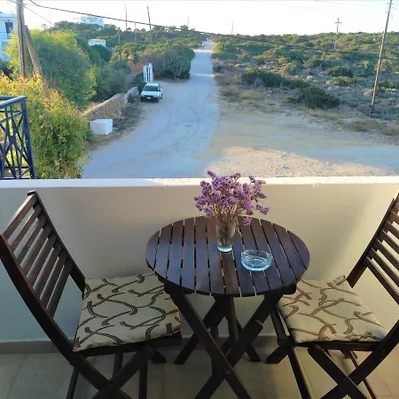 Dolphin * Antiparos Town