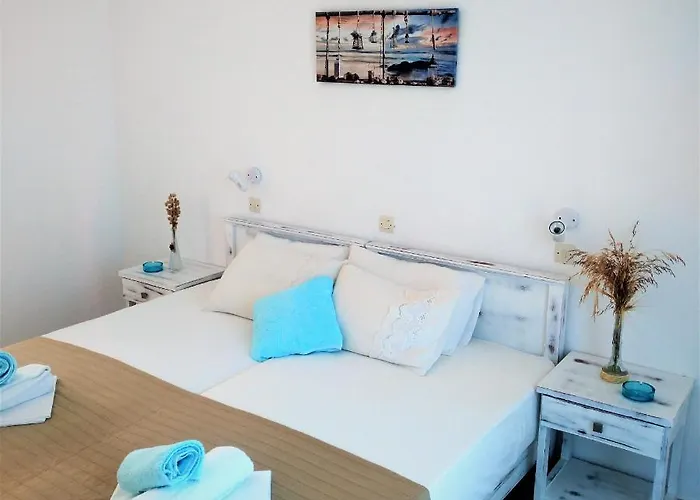 Dolphin Antiparos Town