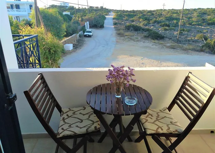 Dolphin * Antiparos Town