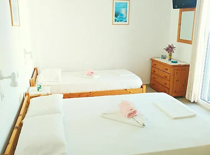 Dolphin * Antiparos Town