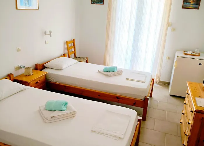 Dolphin Antiparos Town